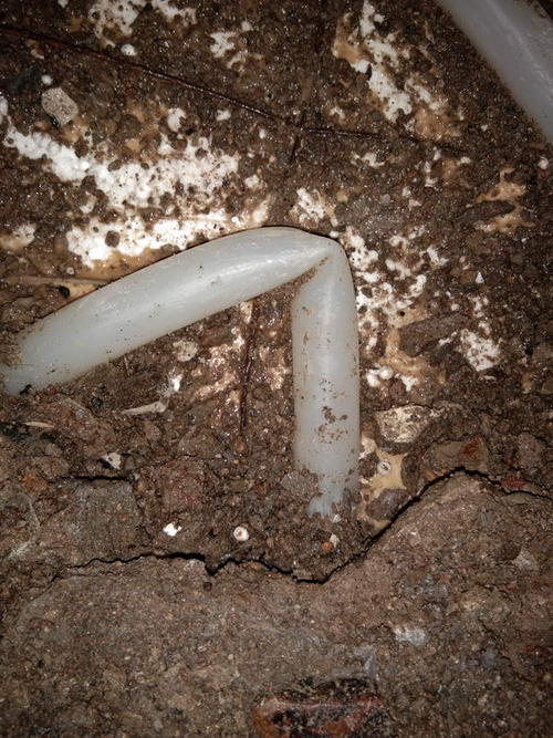 乾安堵点精准查找